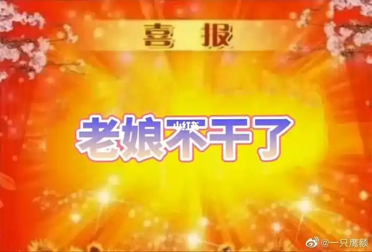 辞职了老娘不干了