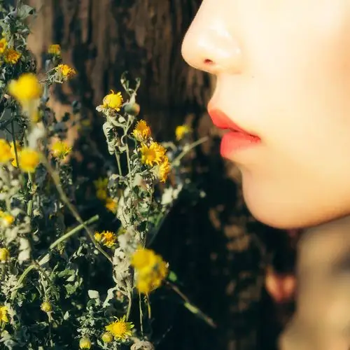 雏菊 安静忧郁淡淡哀愁待其岁月枯黄