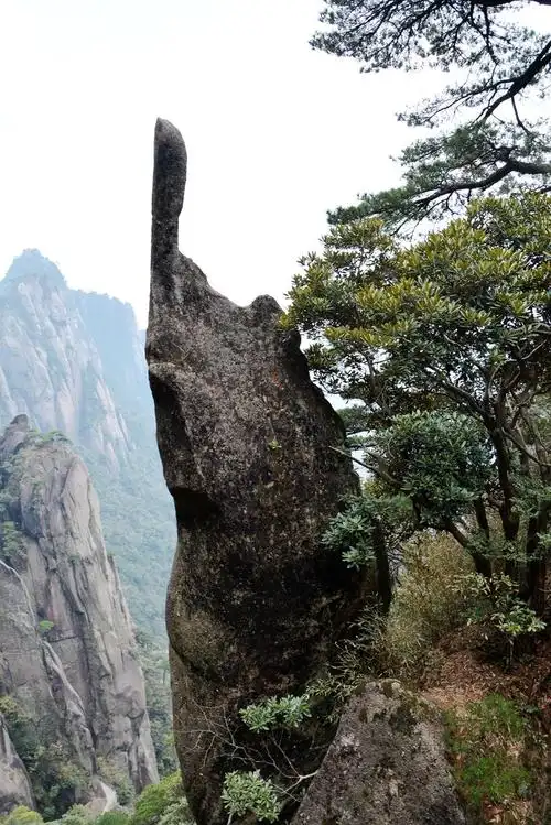 三清山主峰玉京峰海拔18199米终年云缠雾绕充满仙风神韵如仙境一般