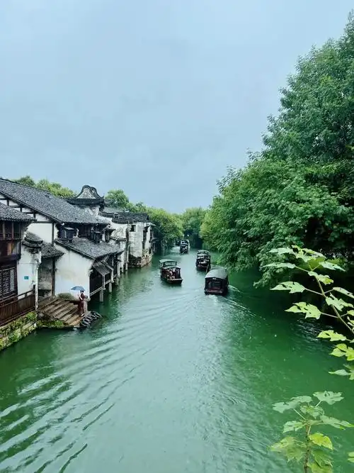 乌镇美景尽收眼底.晴乌镇不如雨乌镇,今日体验到了烟雨江南[爱 - 抖音