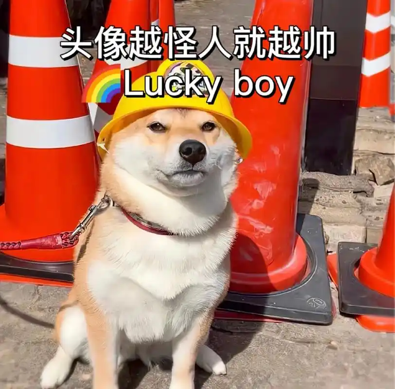 头像越怪人就越帅~艾特你的朋友一起换.#男生头像 #搞怪头像 - 抖音