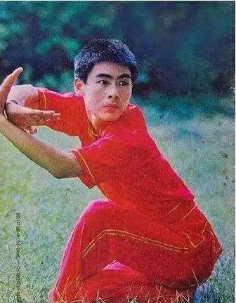 娱乐圈10位"武英级"高手,甄子丹和吴京实力有限,无缘榜单_张晋_李连杰