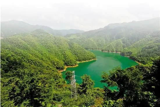 400万亩公益林郁郁葱葱 宁波种出一道绿色生态屏障