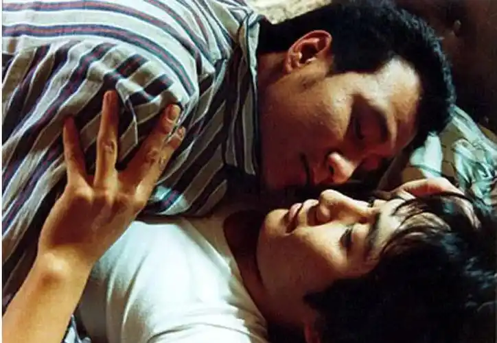 娓娓道出捍东与静平的婚姻生活,更主要的是把捍东和蓝宇在"欧化天地"