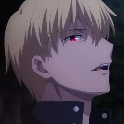 fate stay night金闪闪,渣闪,勇敢的闪闪