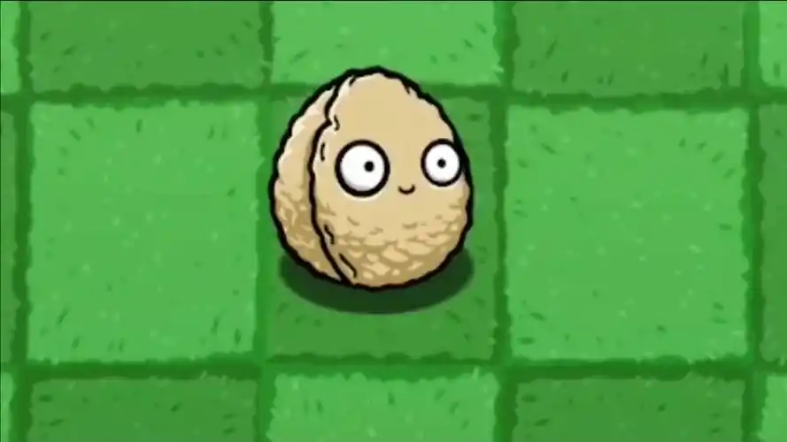 植物大战僵尸坚果墙戴夫求求你做个人吧