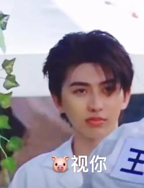 蔡徐坤《奔跑吧》表情包分享 回顾颜艺大师的可爱瞬间