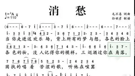 《消愁》毛不易 [ jumpingbar 有声动态乐谱]