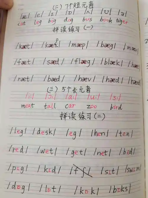 音标学习(三)五个长元音