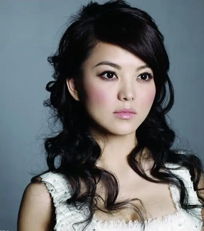 李湘认为肖像被盗用与整形医院对薄公堂