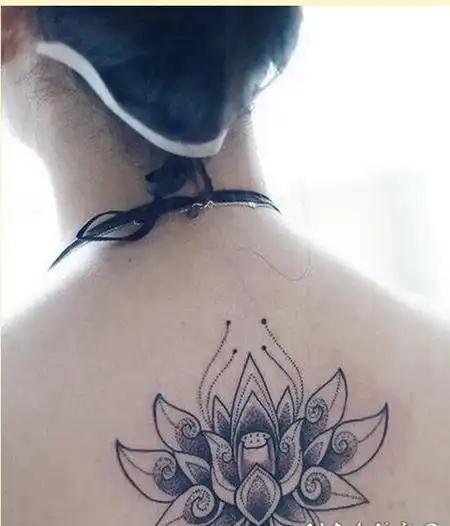 女龙女生后背霸气龙纹身图案tag标签:女猫咪腹部女生腹部猫咪字母纹身