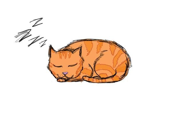 对失眠者而言,最幸福的事就是睡个好觉