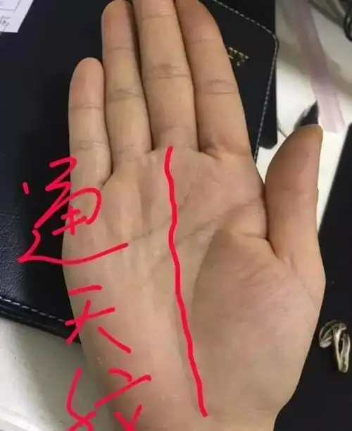 7,有通天纹的女人罕见 相学认为通天纹是一生有神灵庇佑俗称赐,这种