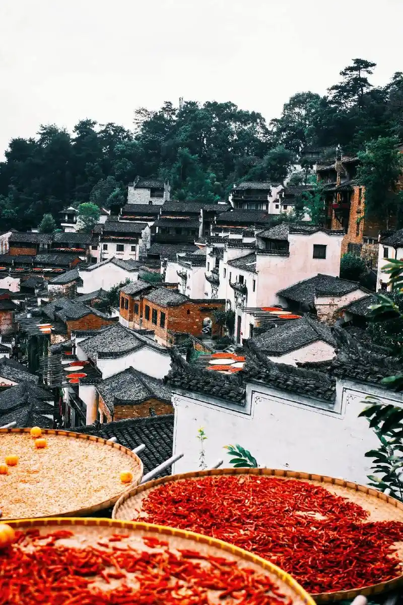 总要来一趟婺源吧!