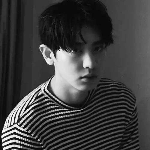 朴灿烈黑白氛围图合集