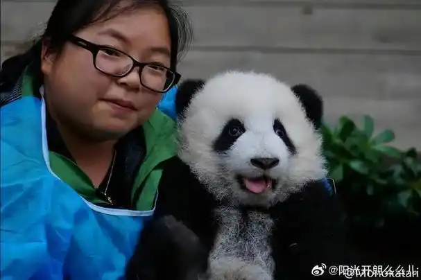 北京到底有谁?有越狱的萌兰,玩过菜刀坐死蛇的萌萌,人教版萌二