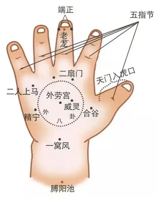 药养护专家,婴儿护理行家,研发药食同源婴幼儿辅食,婴童食品,宝宝辅