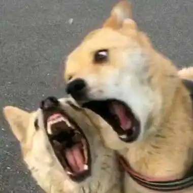 脚印动漫,头像高清,广播剧,绘画 - 快看