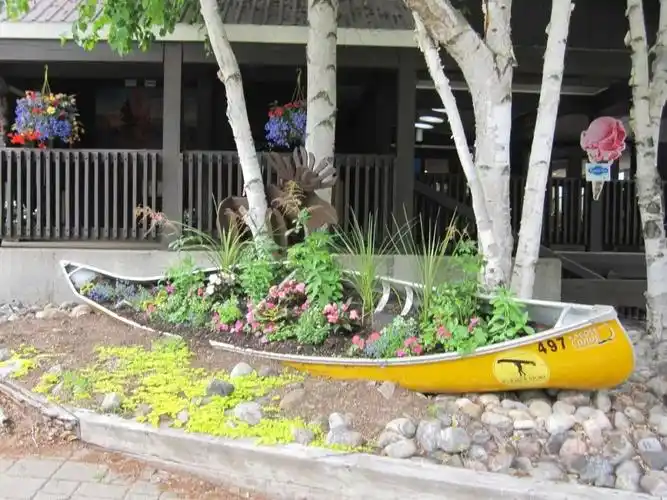 11个巧妙废物改造成小花坛的创意养花省钱又美观