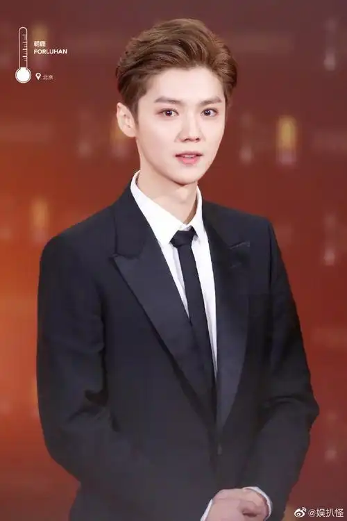 明星红毯群像#鹿晗红毯造型合集优雅贵气的富家公子@m鹿m