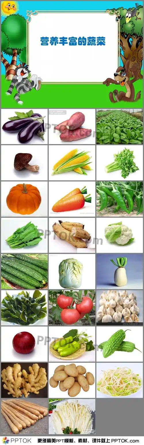 ppt课件下载,主要包含了欣赏图片,了解几种常见的蔬菜,知道不同的蔬菜