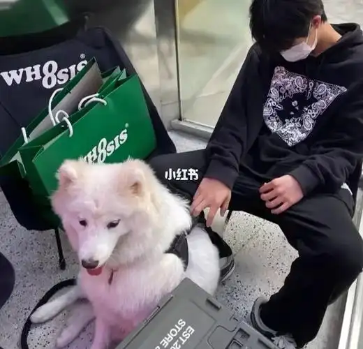 刘耀文  家人们这是土豆和小文吗9999