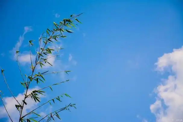 心宽似海,云淡风轻,余生尽是美好事