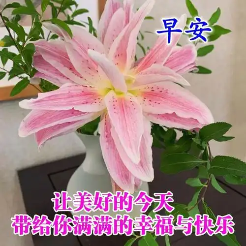 夏天早上好图片祝福语全集2021 新出的微信早晨表情问候句子