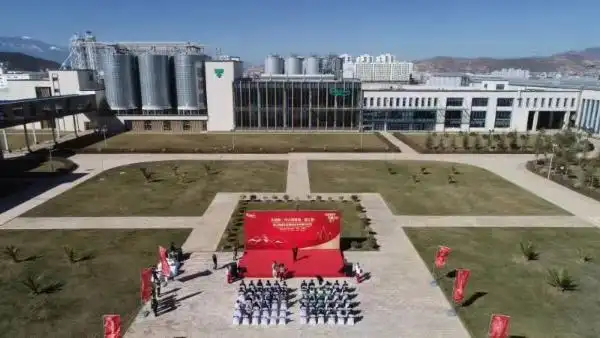 9万罐小时嘉士伯智能高速罐装啤酒生产线落地大理