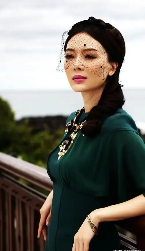 陈数,入行23年零绯闻,拒绝富豪5次求婚,嫁2婚丈夫结婚8年没娃