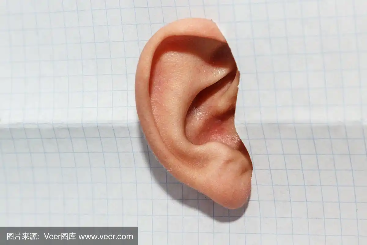 耳朵孤立在白色背景下进入细胞