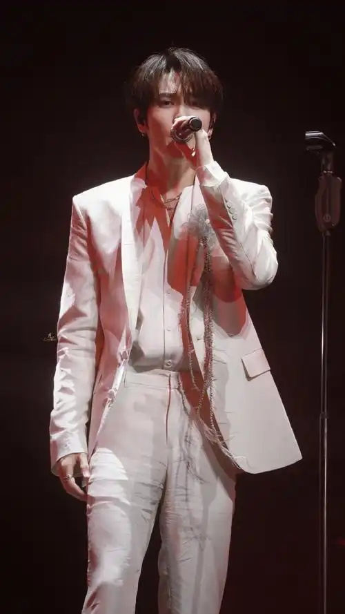 live超绝的歌手林彦俊,疯狂爱上舞台