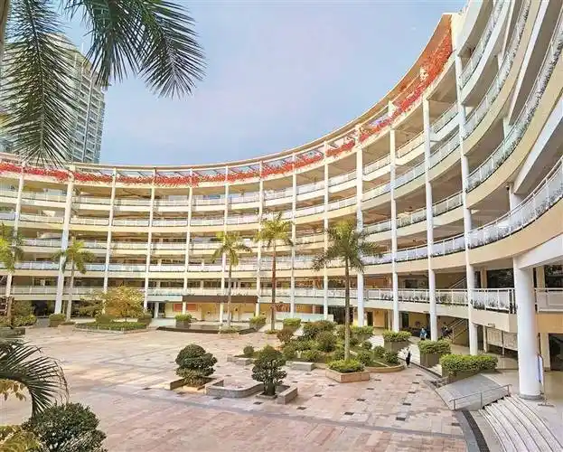 深圳湾畔励学路 北师附校好读书_北师大_教育_发展