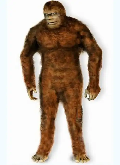 其次,民间有一句古话叫"活要见人,死要见尸",若野人真的是从远古时期