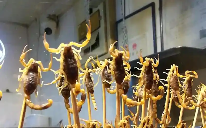 王府井烤蝎子_哔哩哔哩_bilibili