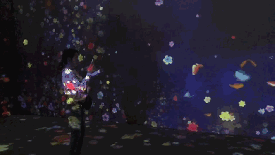 漫天的蝴蝶与鲜花共舞与大鲸鱼游弋在光影幻境体验被色彩360°无死角