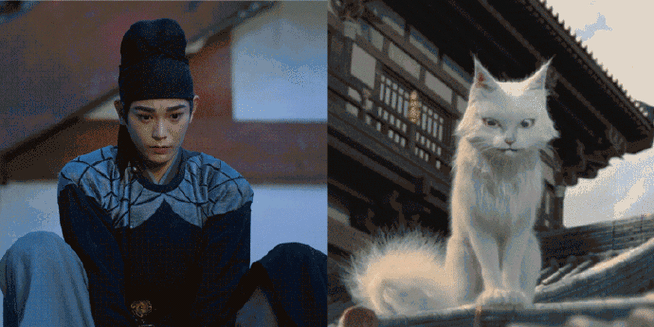 丁禹兮新剧重生变猫##大理寺少卿游吸猫剧