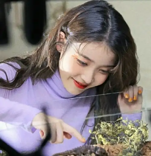 iu新专辑头像吹爆iu欧尼