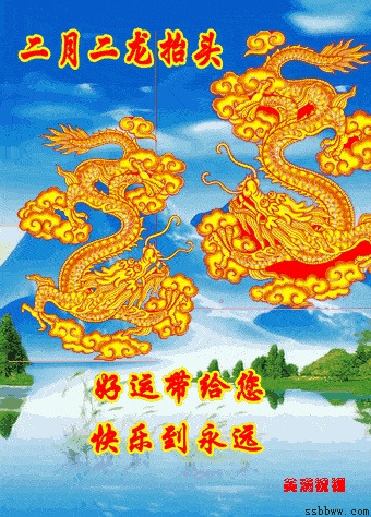 340_474竖版 竖屏gif 动态图 动图