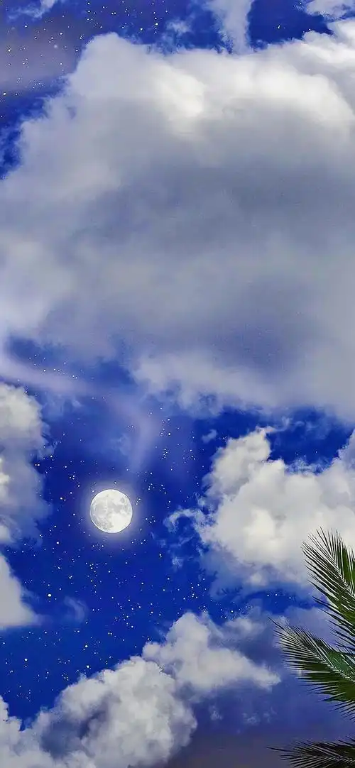 屏l英雄联盟鬼刀不知火舞不良人极简主义2340x1080余颖欣周杰伦林晚儿