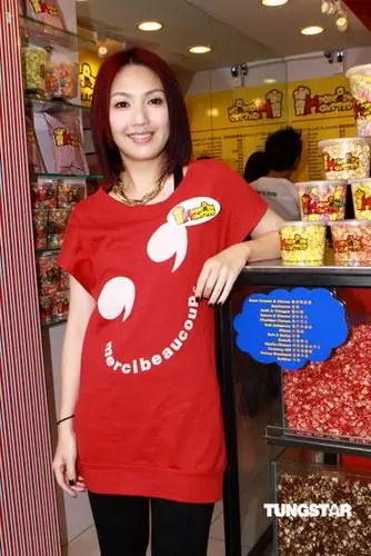 杨千嬅卖房将大赚2600万 暂不与丁子高同居(图)