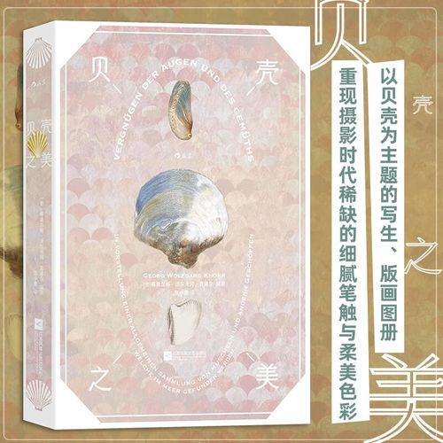 贝壳之美  复古艺术馆系列 190幅贝壳画作 海洋生物图鉴写生博物画