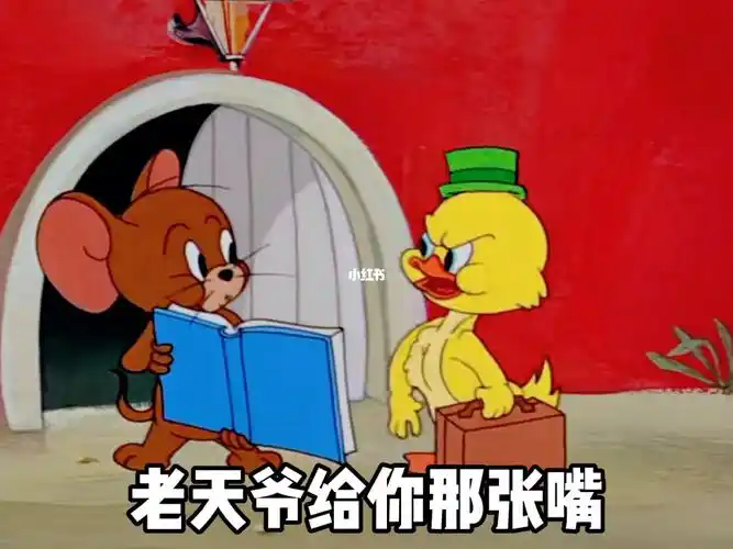 猫和老鼠  #表情包  #艾特你想艾特的人