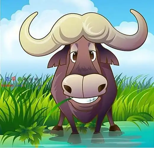 野牛吃草动物插图|野牛吃草动物插图素材 - 查字典板报网