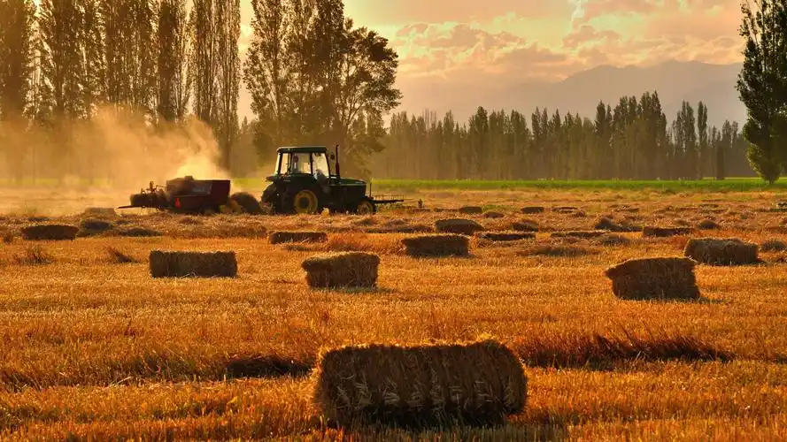 最美丰收季,风景-回车桌面