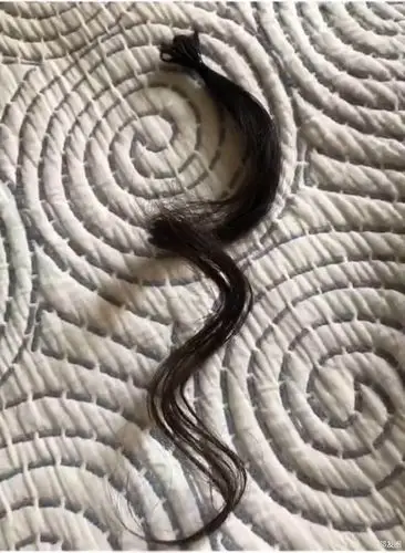 一天掉多少头发12天掉的头发合起来一撮都能编辫子了