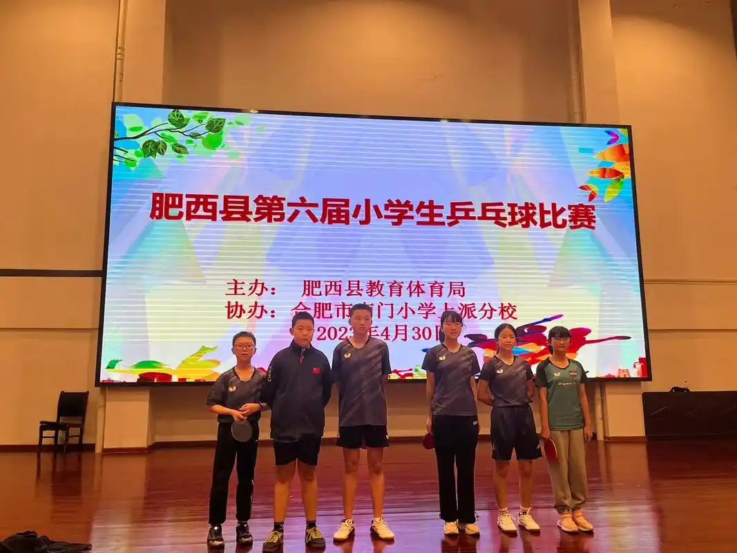 肥西县第六届小学生乒乓球比赛.