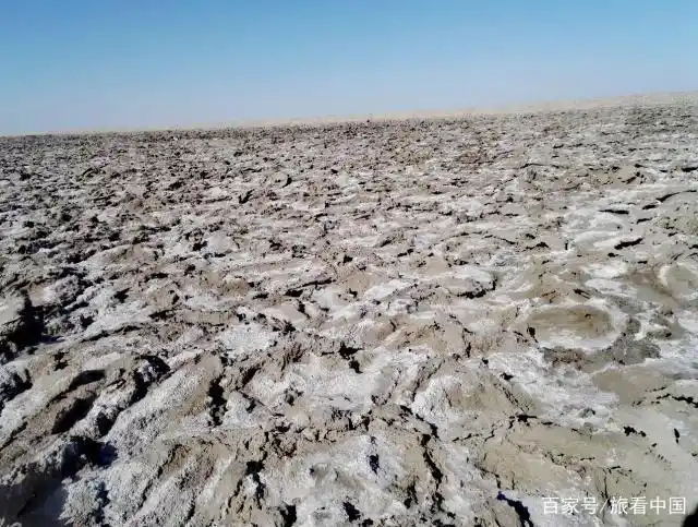 为什么说罗布泊是生命的禁区,亲身经历告诉你