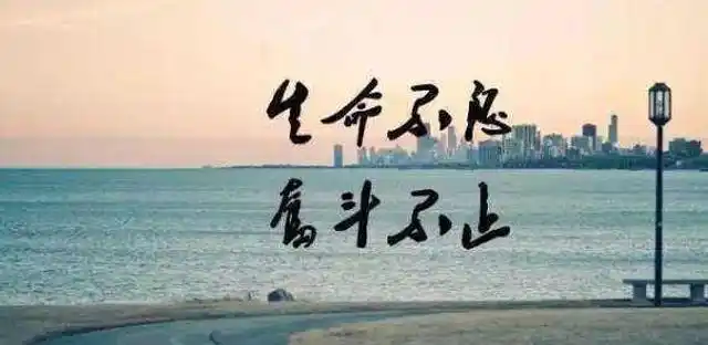 充满力量的励志短句满满的正能量分享给奋斗的你