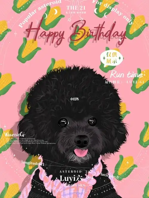 黑色小泰迪生日98约稿|客单
